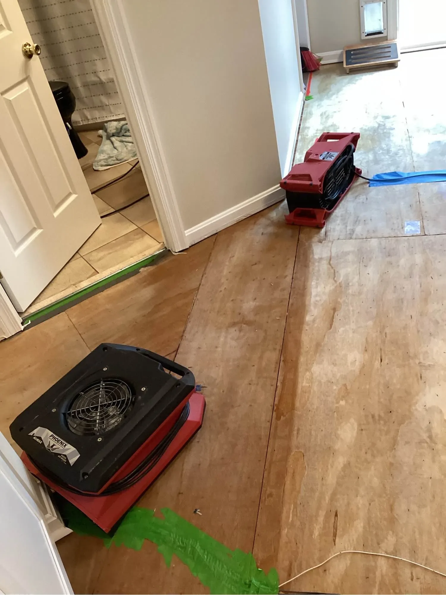 Air mover running in a hallway beside plastic sheeting taped across a doorway