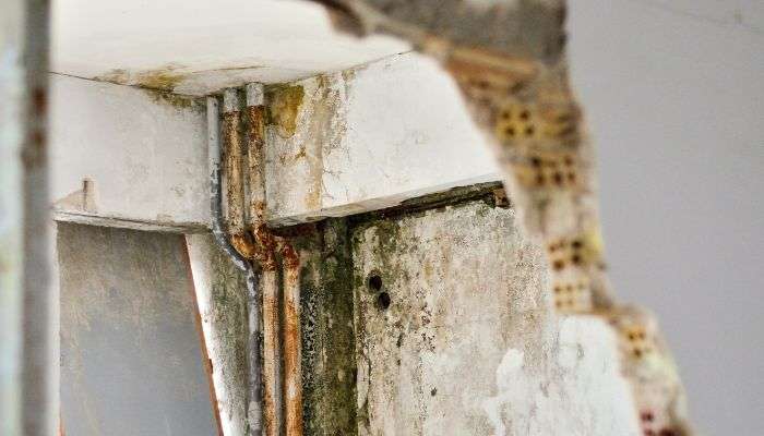 wall and pipe mold - Eminence mold removal