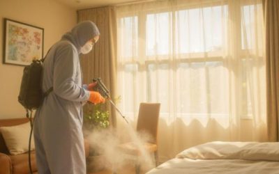 Odor Removal Lexington Homes Trust for a Fresh Start