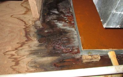 Water Damage Restoration in Georgetown, KY: Why Fast Action Is Critical