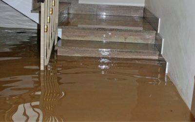 Causes, Solutions, and Tips for Basement Flood Cleanup in the Bluegrass