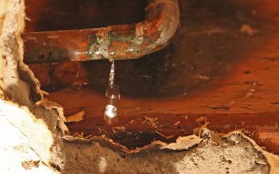 How Water Leak Detection in Georgetown Stops Small Problems from Becoming Big
