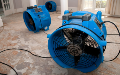 Say Goodbye to Unwanted Moisture with Structural Drying in Frankfort