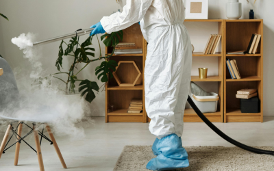 Odor Removal Services in Nicholasville When Opening a Window Is Not Enough